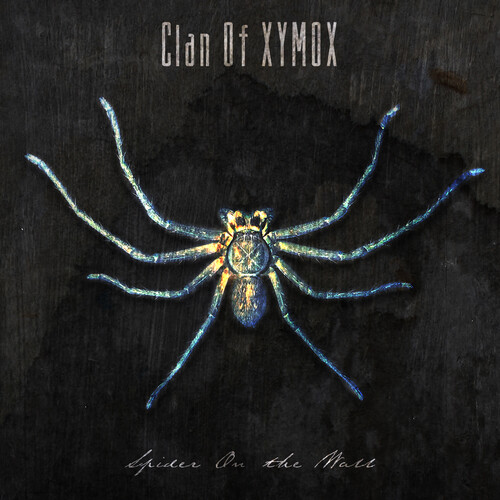 Clan Of Xymox - Spider On The Wall