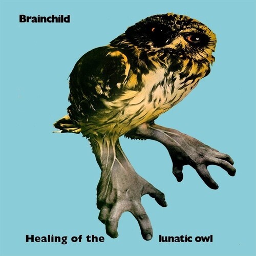 Healing of the Lunatic Owl