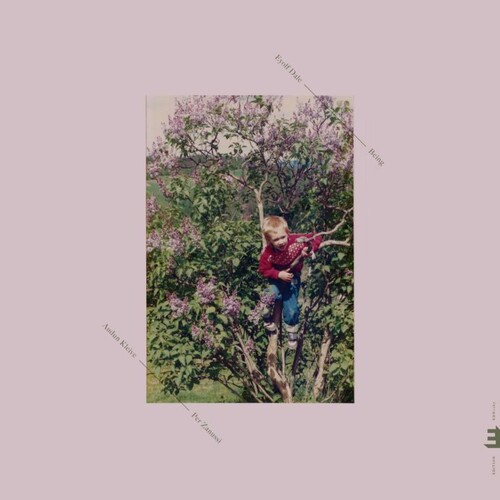 Eyolf Dale - Being vinyl record cover