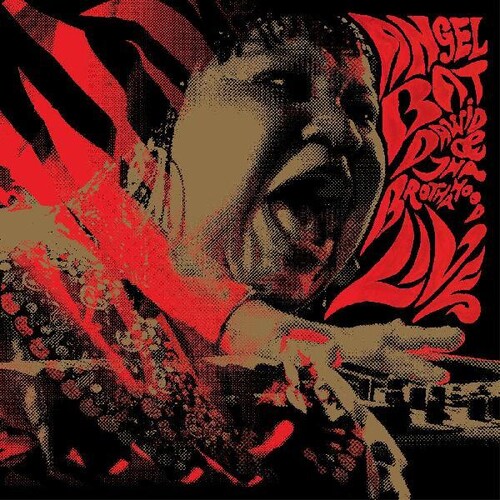 Angel Dawid Bat & Tha Brothahood - Live vinyl record cover
