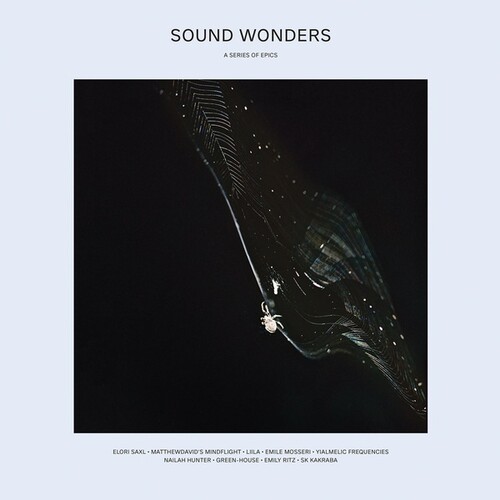 Various Artists - Sound Wonders (Various Artists)
