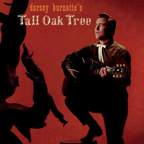 Dorsey Burnette's Tall Oak Tree