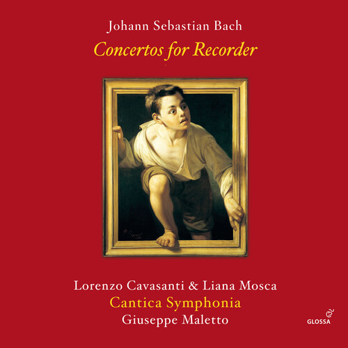 J Bach .S. / Cavasanti / Cantica Symphonia - Concertos For Recorder