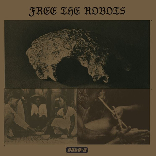 Free The Robots - Datu 2 vinyl record cover