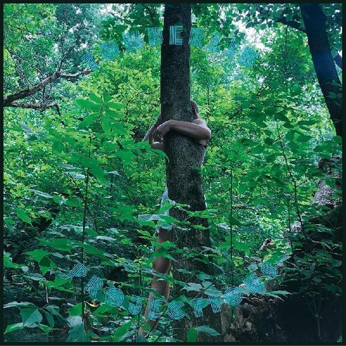 Tomberlin - Projections [Limited Edition] (Pict)