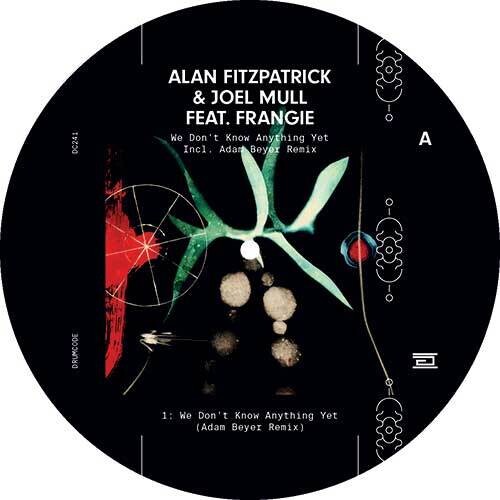 We Don't Know Anything Yet|Alan Fitzpatrick/Joel Mull