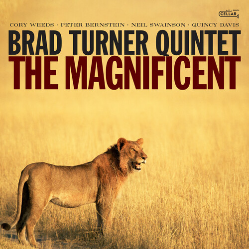 Brad Turner - Magnificent