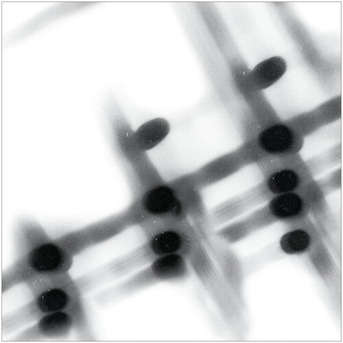 Gregor Samsa - 40:13.5 vinyl record cover