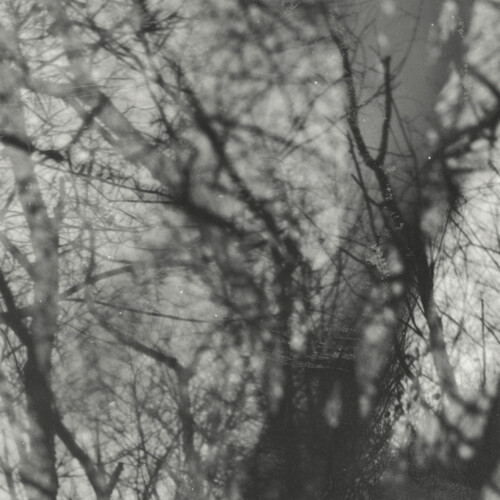 Grouper - Way Their Crept [Reissue]