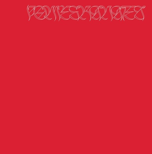 Nicolas Jaar - Pomegranates vinyl record cover