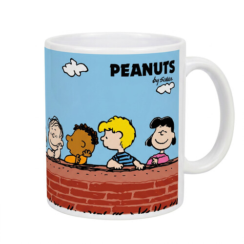 PEANUTS - WALNUTS 11 OZ MUG