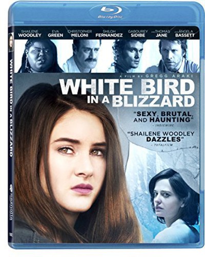 White Bird in a Blizzard