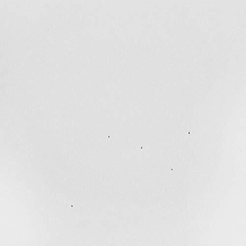 Conjectures