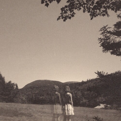 Goldmund - Malady Of Elegance