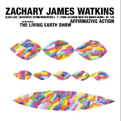 Zachary Watkins  James - Affirmative Action