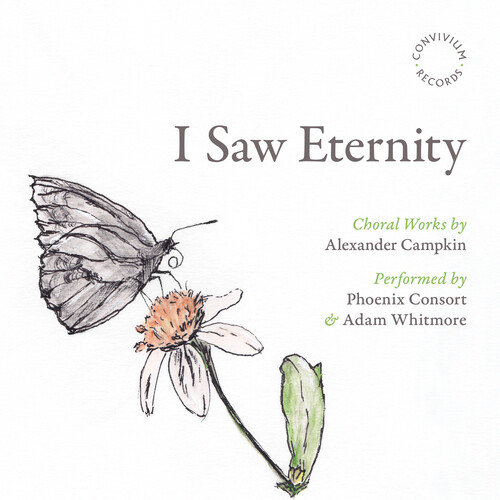 Campkin: I Saw Eternity