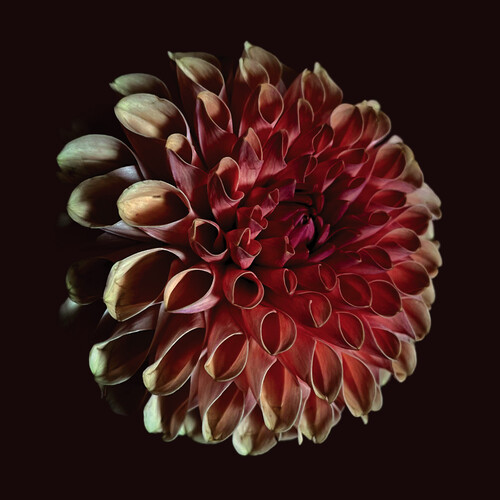 Jessica Moss - Unfolding vinyl record cover