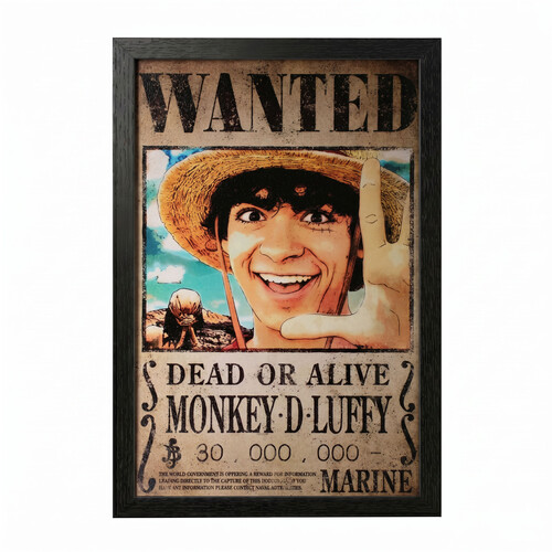 ONE PIECE (LIVE ACTION) - LUFF 11X17 FRAMED GEL C