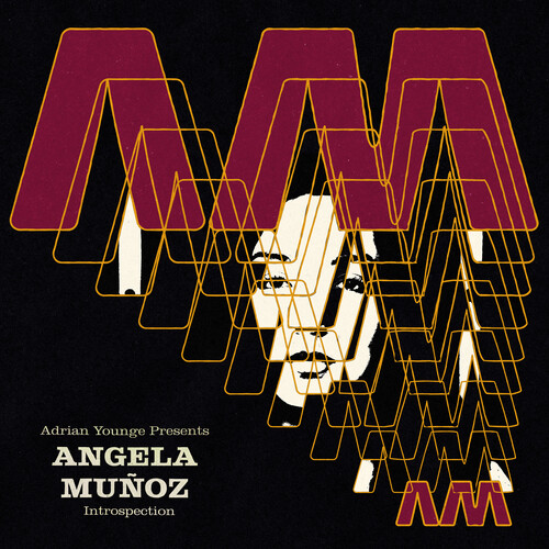 Angela Muñoz - Introspection (Instrumentals) vinyl record cover
