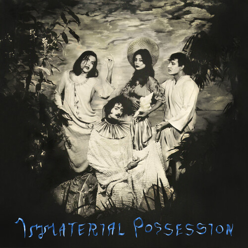 Immaterial Possession - Immaterial Possession
