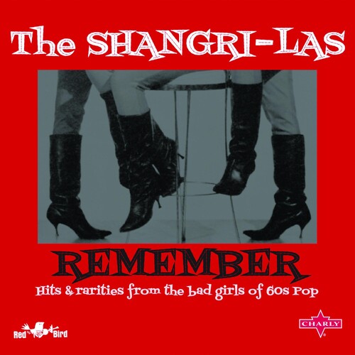 Remember: Hits & Rarities From The Bad Girls Of Pop
