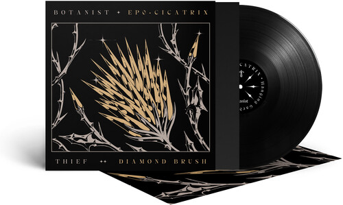 Botanist / Thief - Cicatrix / Diamond Brush