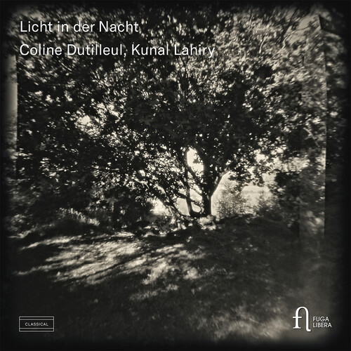 Licht in Der Nacht