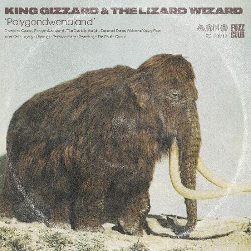 King Gizzard and the Lizard Wizard - Polygondwanaland [Clear Vinyl] (Grn) (Mono)