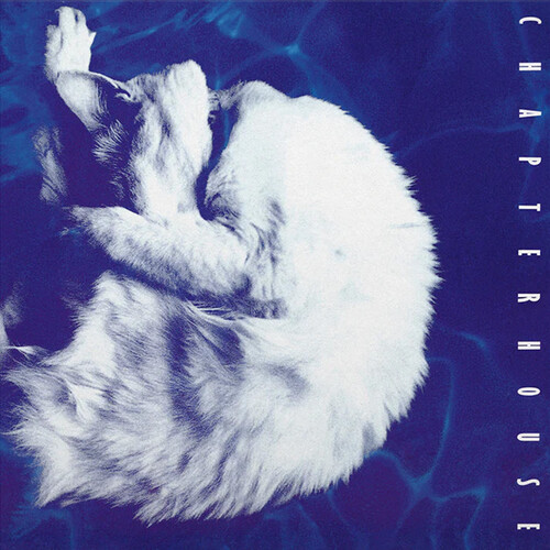 Whirlpool - Limited 180-Gram White & Black Marble Colored Vinyl [Import]