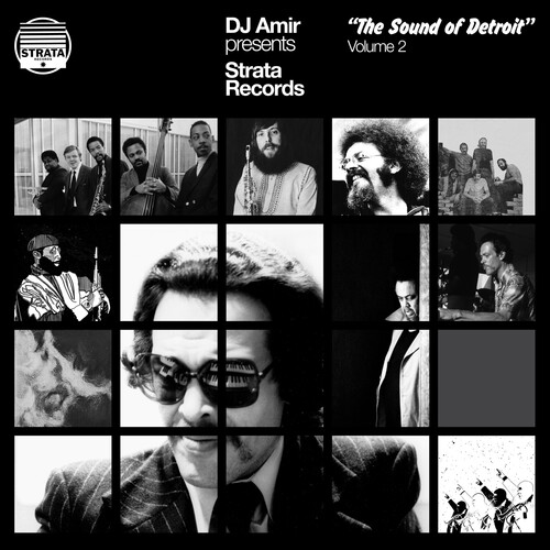 Dj Amir Presents Strata Records: The Sound Of Detroit Vol. 2