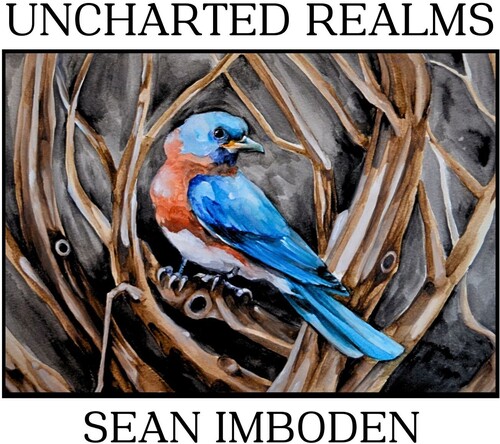 Uncharted Realms
