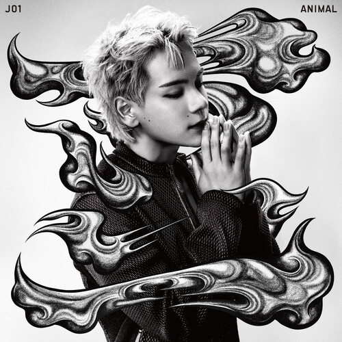 Jo1 - ANIMAL vinyl record cover