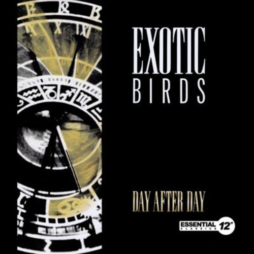DAY AFTER DAY