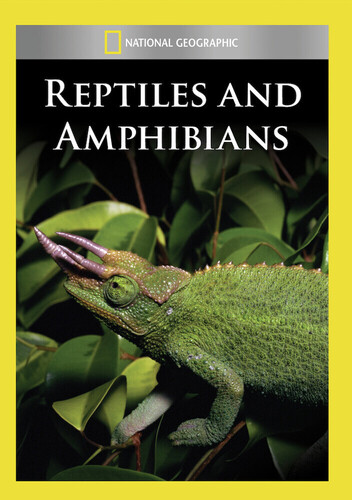 Reptiles & Amphibians