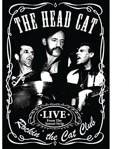 Head Cat - Rockin' The Cat Club