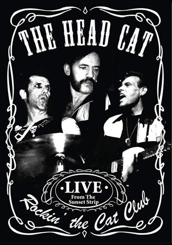 Rockin' The Cat Club