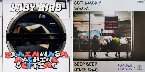 Brainwash Machine Settings