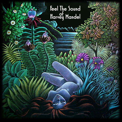Feel the Sound Of Harvey Mandel