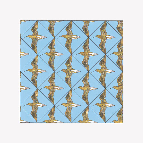 Simmerdim: Curlew Sounds / Various