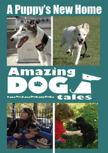 Amazing Dog Tales A Puppy's New Home