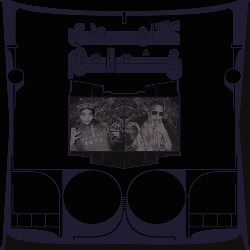 Exotic Birds of Prey