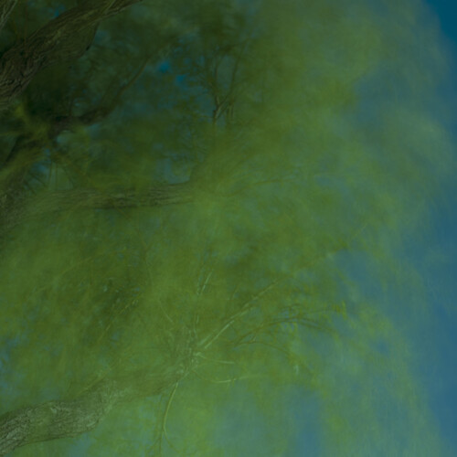 Into The Darkness Of The Night