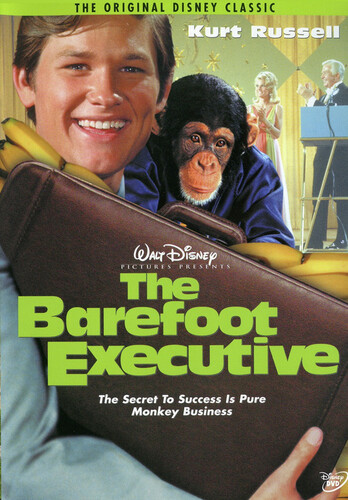 The Barefoot Executive