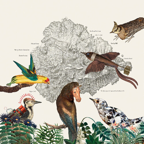 Friendly Rich - The Birds of Marsville vinyl record cover