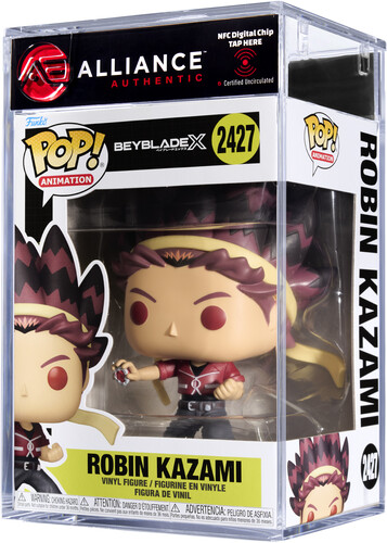 BEYBLADES X ROBIN KAZAMI