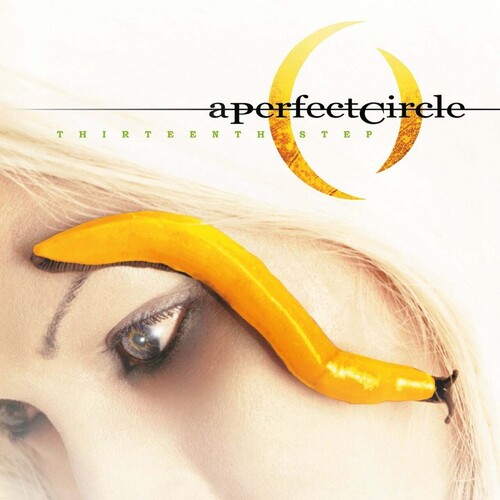 Thirteenth Step [Import]