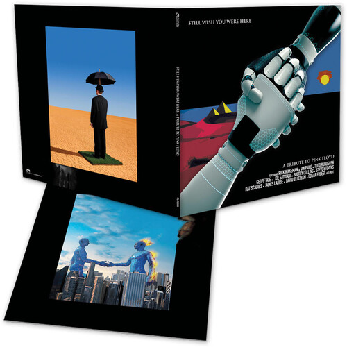 Pink Floyd Tribute: Still Wish You Were Here (Various Artists)