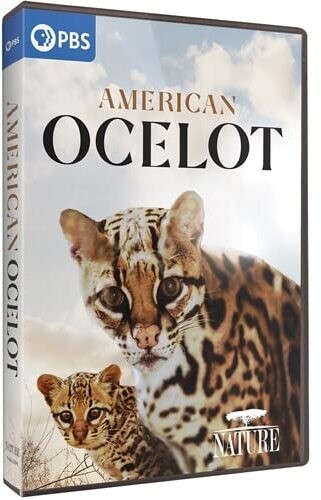 NATURE: American Ocelot