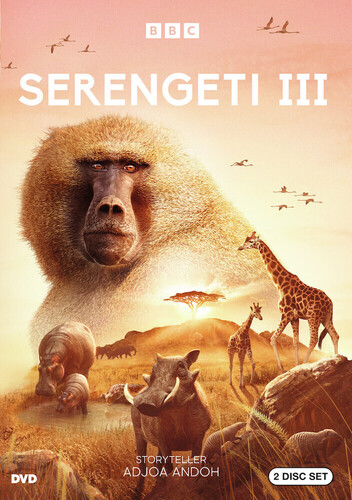 Serengeti Year 3