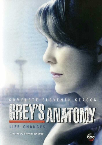 Grey's Anatomy: Complete Eleventh Season